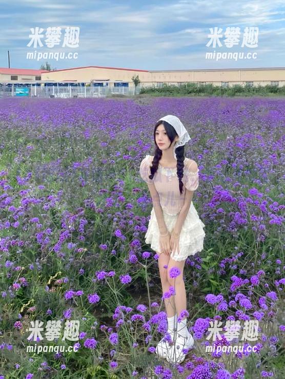 在线等51吃瓜下载，手心儿都冒汗了，快点儿～