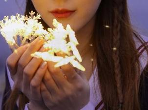 51爆料网：永不迷路，把八卦一网打尽！