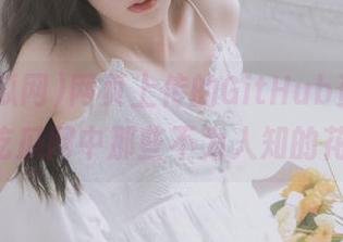 网页上传的GitHub资源，91吃瓜网中那些不为人知的花絮