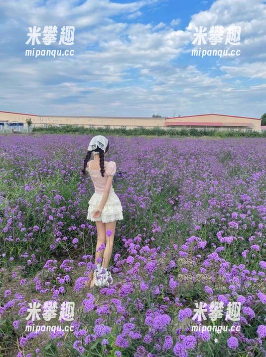 “998su”导航奇遇记，迷者与瓜紧密相拥，却是互不相识！