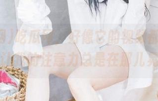吃瓜网，好像它的视频都带着魔力，让我的注意力总是在那儿晃悠。