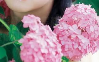 下载黑料正能量indexapp，被惊到的瞬间，让人欲罢不能！